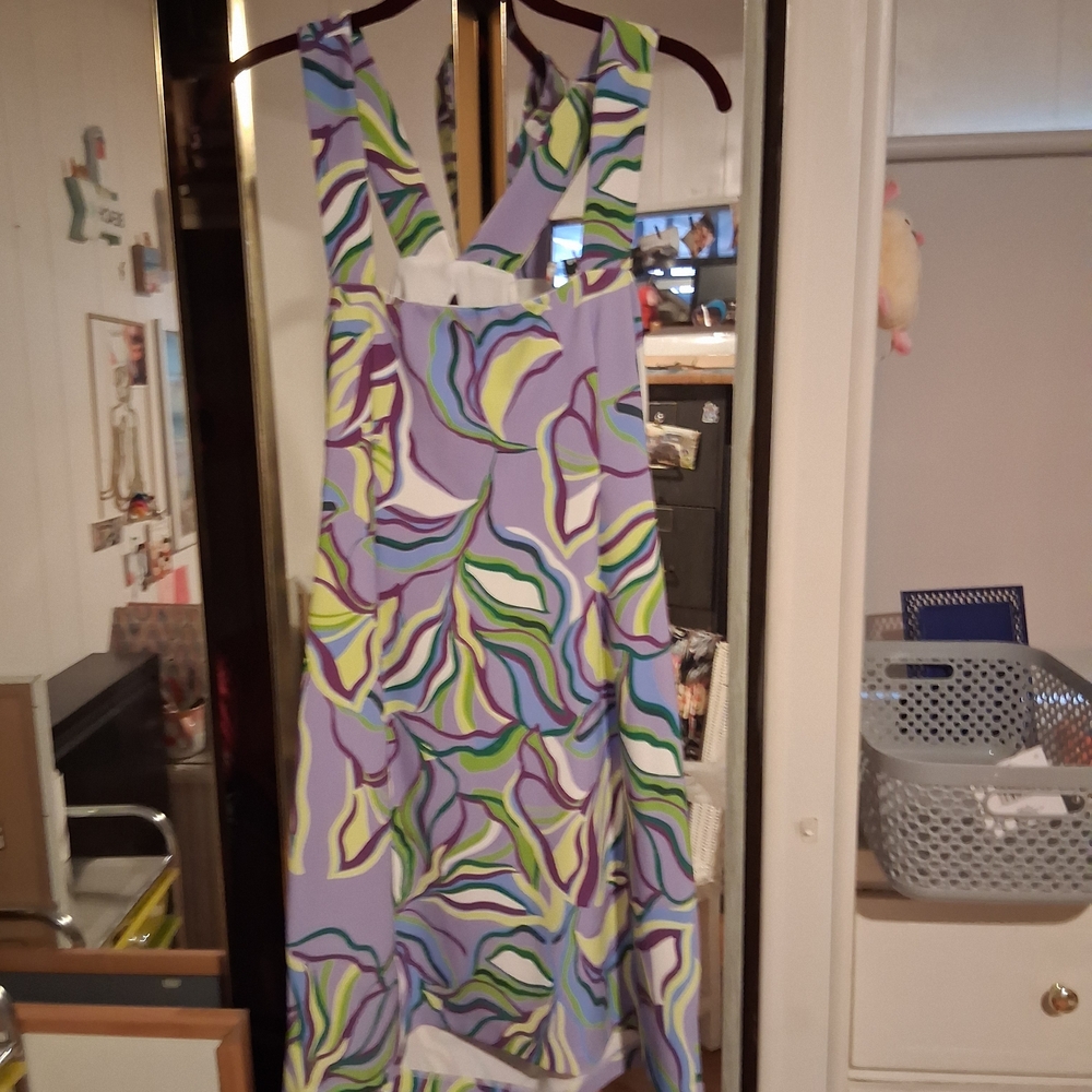 Boston Proper Multicolor Backless Dress